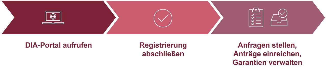 Ablauf Registrierung DIA-Portal