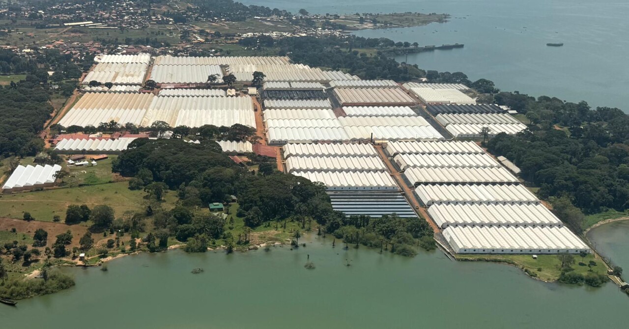 FIXIT GRUPPE Ukraine